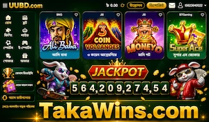 takawins.com